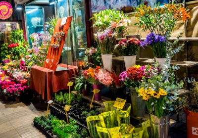 Shop bán hoa tươi tại Vinh một địa chỉ bỏ túi…