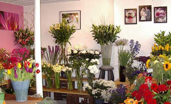 Shop bán hoa tươi ở Vinh  một địa chỉ bỏ túi cho các chi em khi có nhu cầu về hoa tươi.